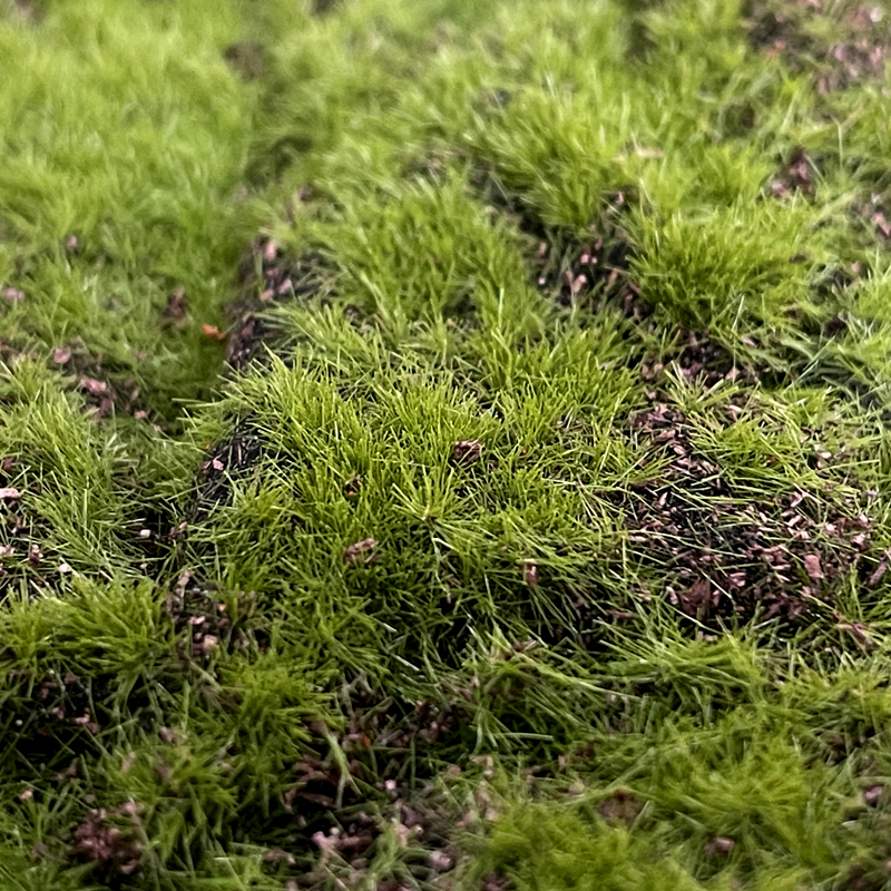 DYGRASS Decorative Artificial Moss Mat Green Moss Rug for Home Garden Wedding Supplier, Factory