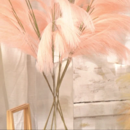 Wholesale pampas grass weddings home decor flower decorative flowers pampas pampa grass