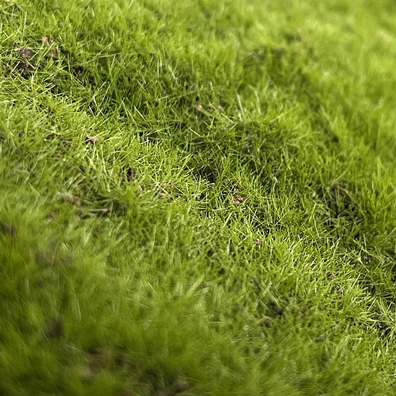 Best DIY Green Wall Customizable Versatile High Quality Flocked Artificial Moss Mat Manufacturer, Suppliers