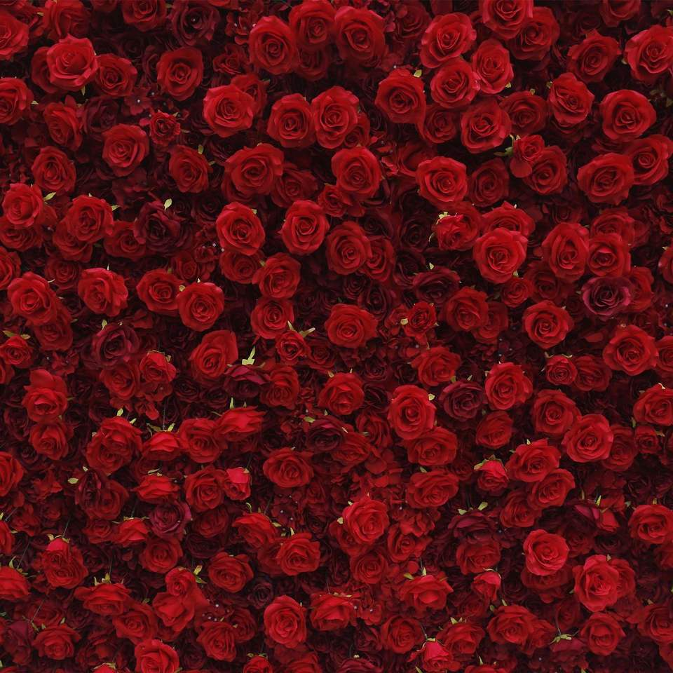 DYGRASS Summer flowers wall artificial white rose 3d hydrangea flower wall backdrop for wedding event stage decoration Supplier, Factory