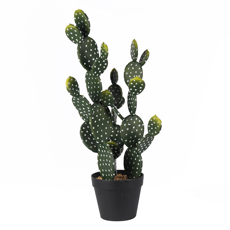Wholesale Tropical desert green plants indoor plastic plant artificial succulent cactus plants with potted for home decor Manufacturers, Suppliers