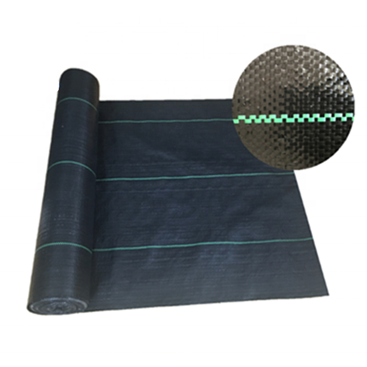 High-Quality grass prevention Black and Green PP woven fabric weed mat Supplier, Factory