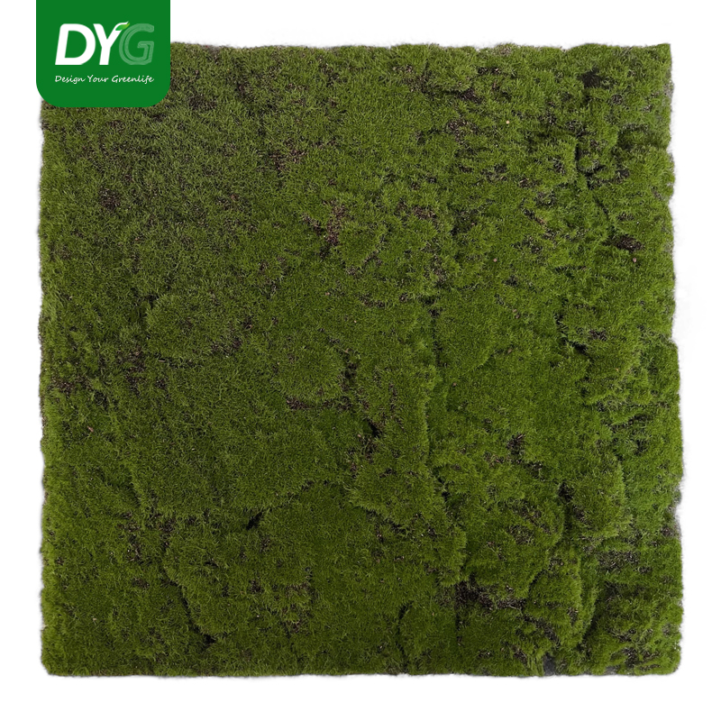 DIY Green Wall
