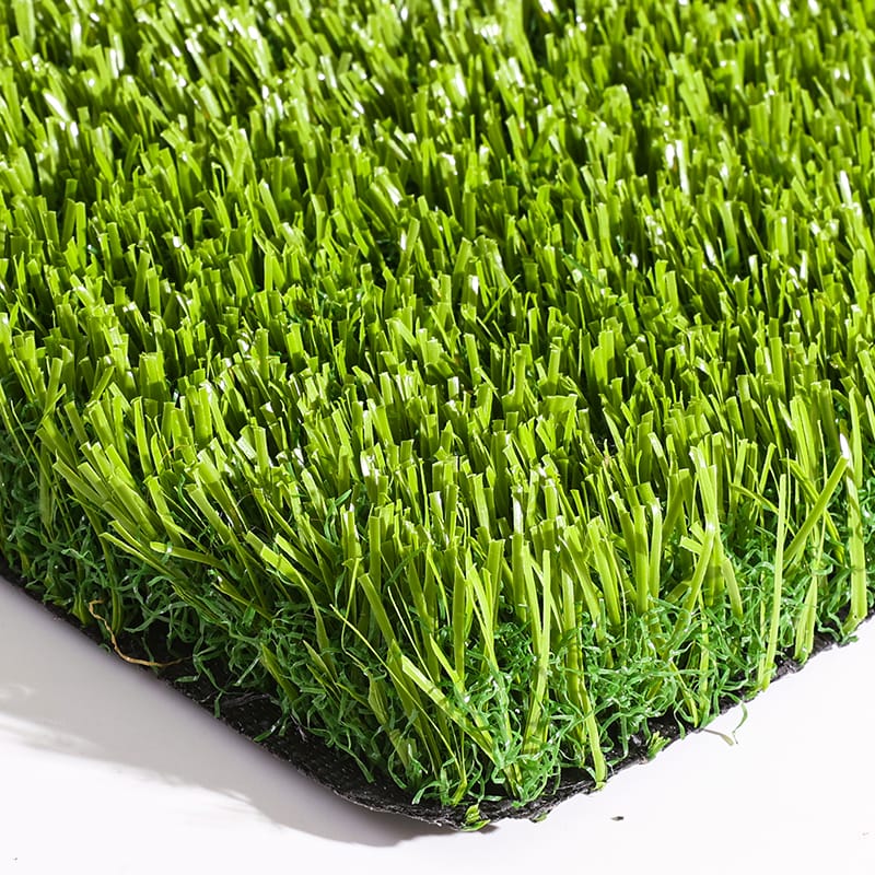 Soccer Field Turf