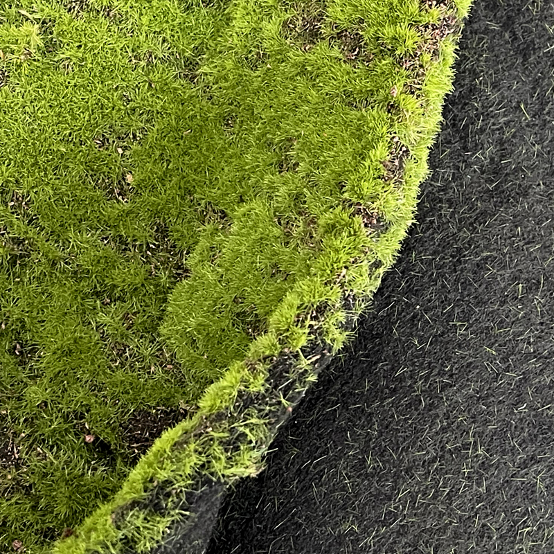DYGRASS Decorative Artificial Moss Mat Green Moss Rug for Home Garden Wedding Supplier, Factory