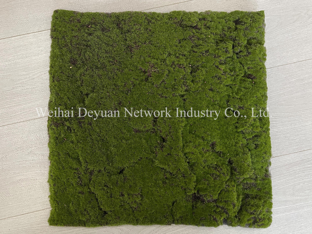 Moss Wall Display 4