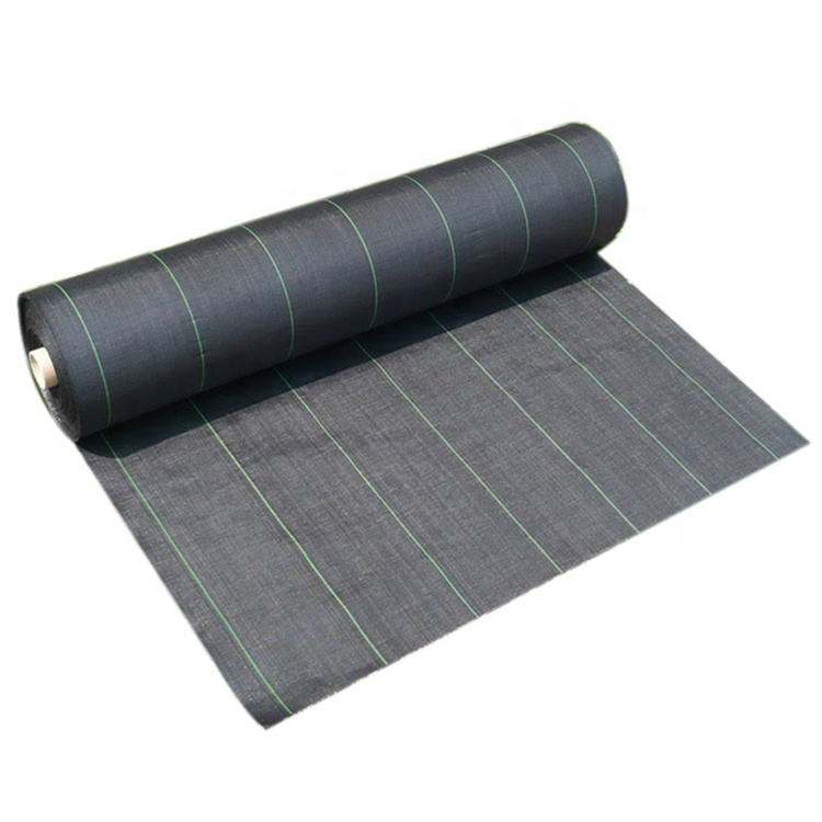 High-Quality grass prevention Black and Green PP woven fabric weed mat Supplier, Factory