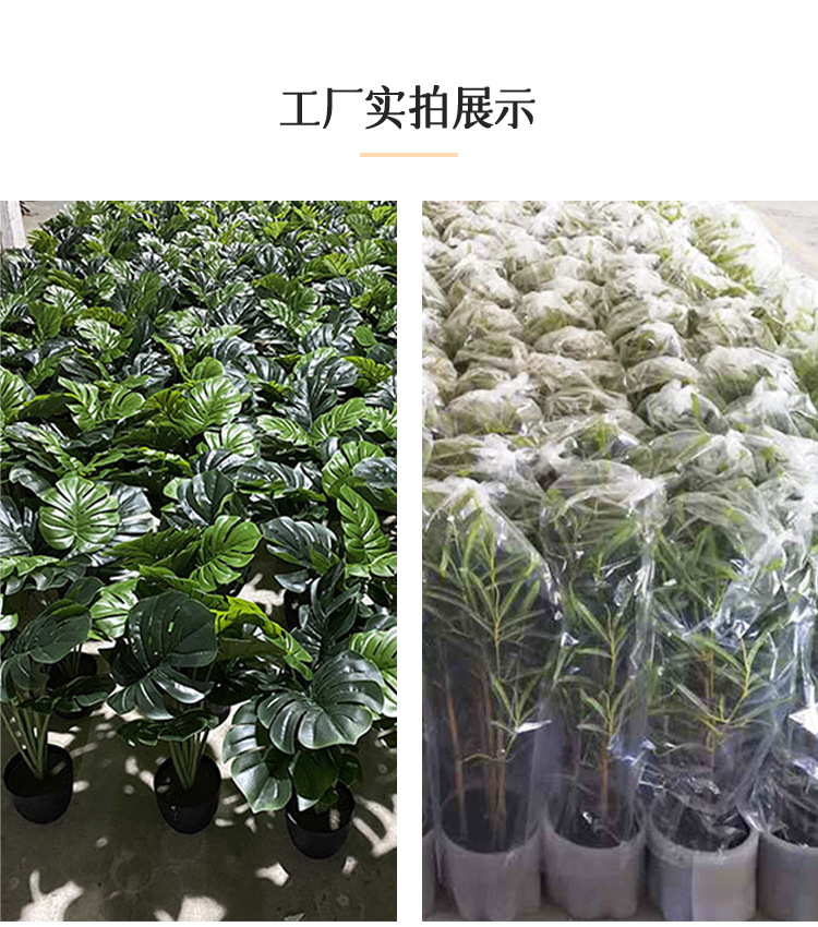 Production Line 1