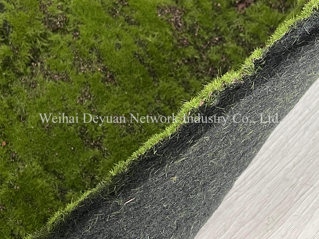 Moss Wall Display 1