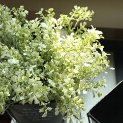 OEM Artificial Four Leaf Clover Bushes Faux Plastic Greenery Plant Artificial Flowers for Decoration Manufacturer, Factory