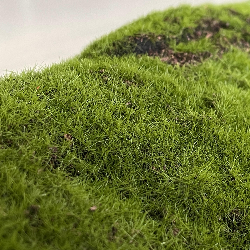 Best DIY Green Wall Customizable Versatile High Quality Flocked Artificial Moss Mat Manufacturer, Suppliers