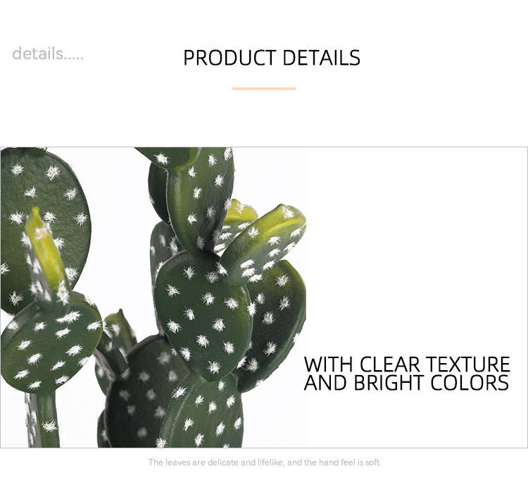 Product Detail 2
