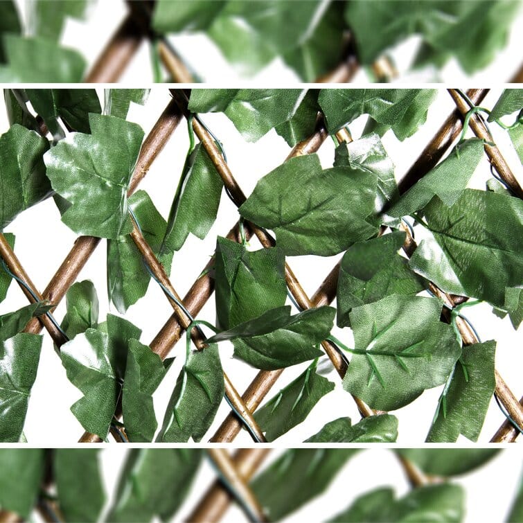 Single Side Ivy Fencing