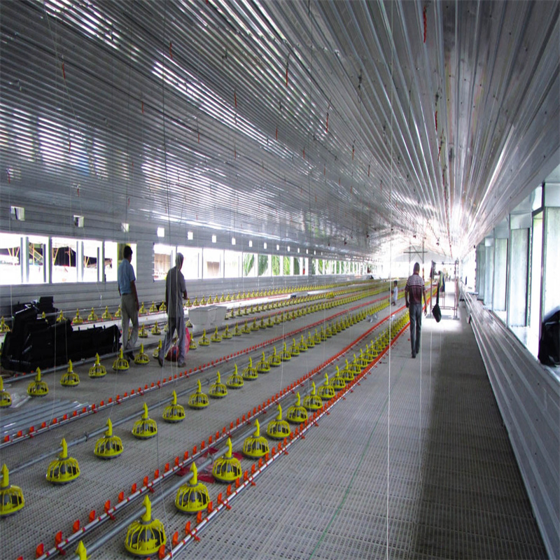Casa de Aves de Corral de Gran Espacio Innovadora para Soluciones de Agricultura Sostenible