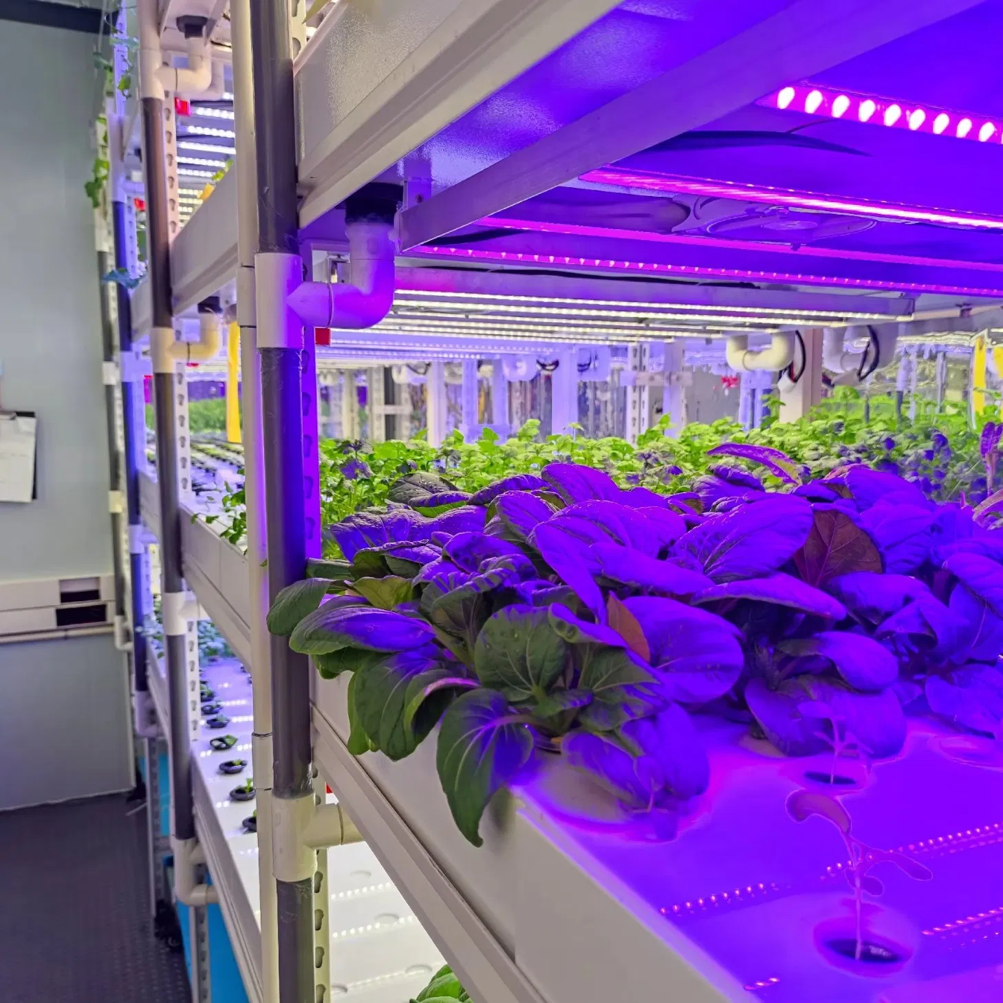 Casa Contenedor de Placas Planas Aislante Casa Contenedor de Ahorro Energético Cabina de Planta Invernadero Agrícola