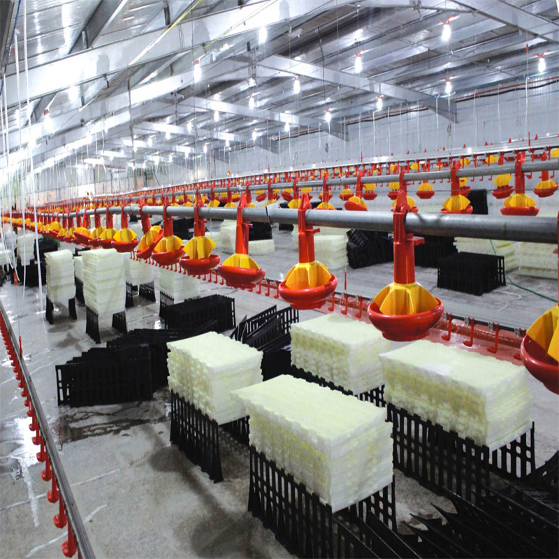 Casa de Aves de Corral de Gran Espacio Innovadora para Soluciones de Agricultura Sostenible