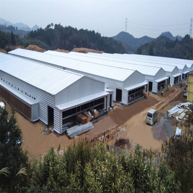 Casa de Aves de Corral de Gran Espacio Innovadora para Soluciones de Agricultura Sostenible