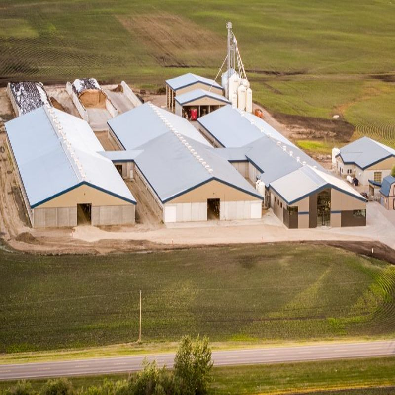 Casa de granja avícola de acero prefabricado de alta calidad de construcción rápida