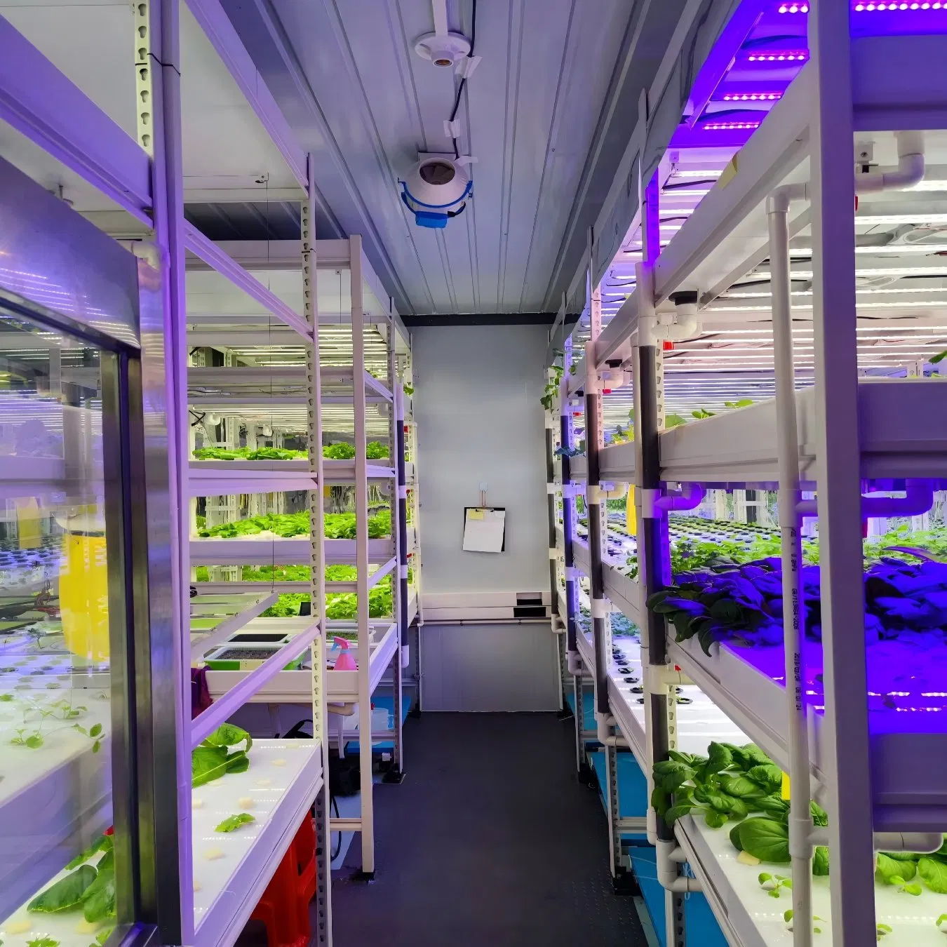 Casa Contenedor de Placas Planas Aislante Casa Contenedor de Ahorro Energético Cabina de Planta Invernadero Agrícola