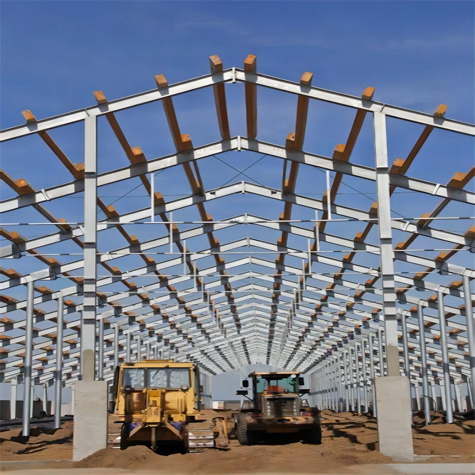 Casa de granja avícola de acero prefabricado de alta calidad de construcción rápida