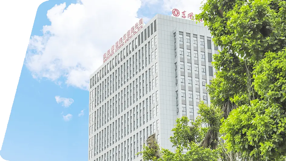 Dongfeng Office