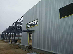 Sri Lanka Project