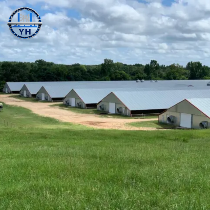 High-rise Galvanized Custom Steel Structure Building, Steel Structure Warehouse, Steel Structure Metal Shed
