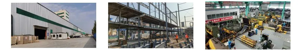 Professional Steel Structure Factory Building Construction Solutions