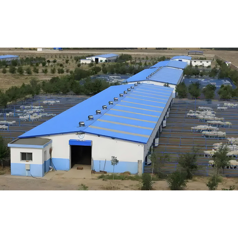 Multi-Functional Durable Steel Structure Farm - All-Purpose Agricultural Building for Livestock &amp; Poultry Breeding
