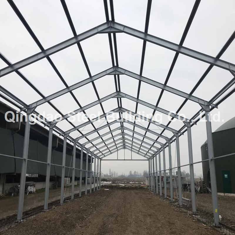 Prefabricated Steel Structure Building for Metal Frame Workshop/Steel Shed/Commercial Steel Warehouse