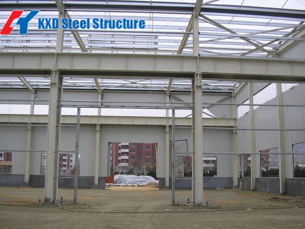 Steel Structure Layout 1