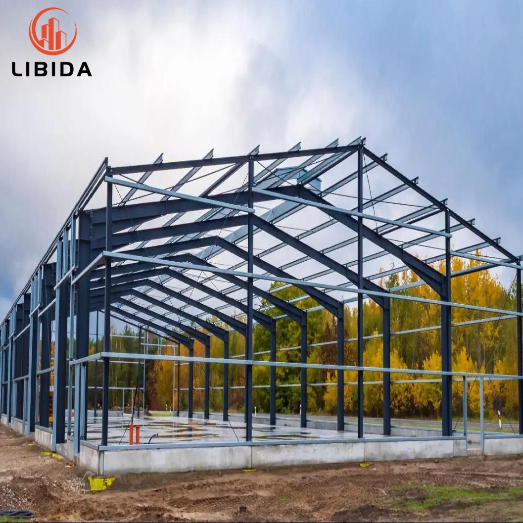 Steel Structure GYM Basketball Sports Hall Design Prefabricated Building Prefab Stadium