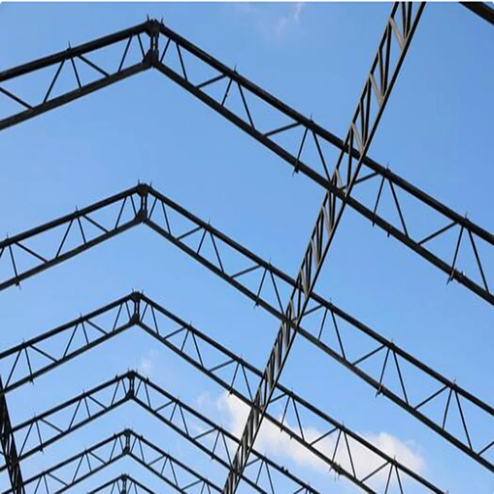 Wide Application Multi Scene Steel Structure Warehouse for Factory Farm and Commerce