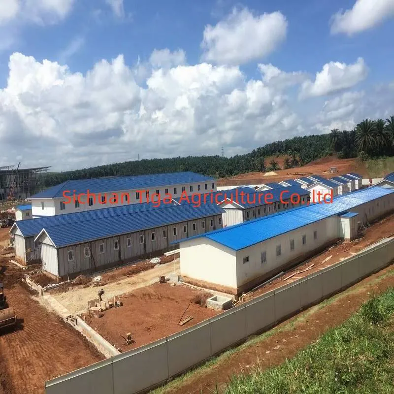Prefabricated Light/Heavy Modular Steel Structure Warehouse/Workshop/Storage/Factory/Poultry House Commercial/Industrial Steel Building