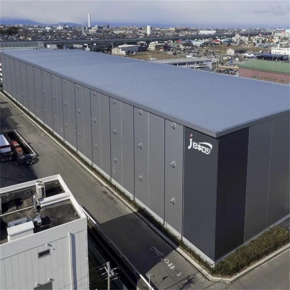 Cold Storage Facilities Warehouse Steel Structure Custom Construction Building