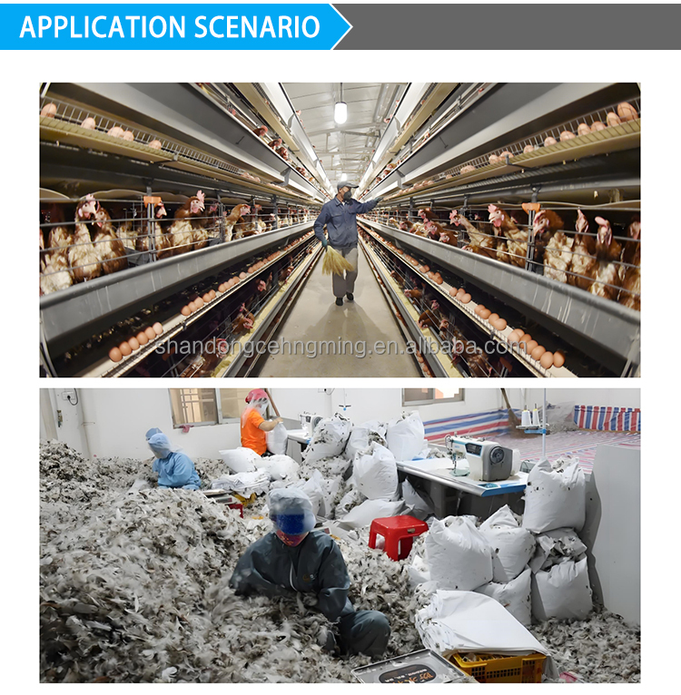 Easy To Install Feather Meal Processing Plant Slaughter House Waste Rendering Plant