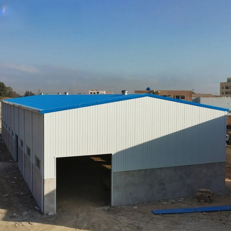 Customizable Heavy-Duty 6000-10000 Sqm Factory Production Workshop Industrial Logistics Center Steel Structure Warehouse