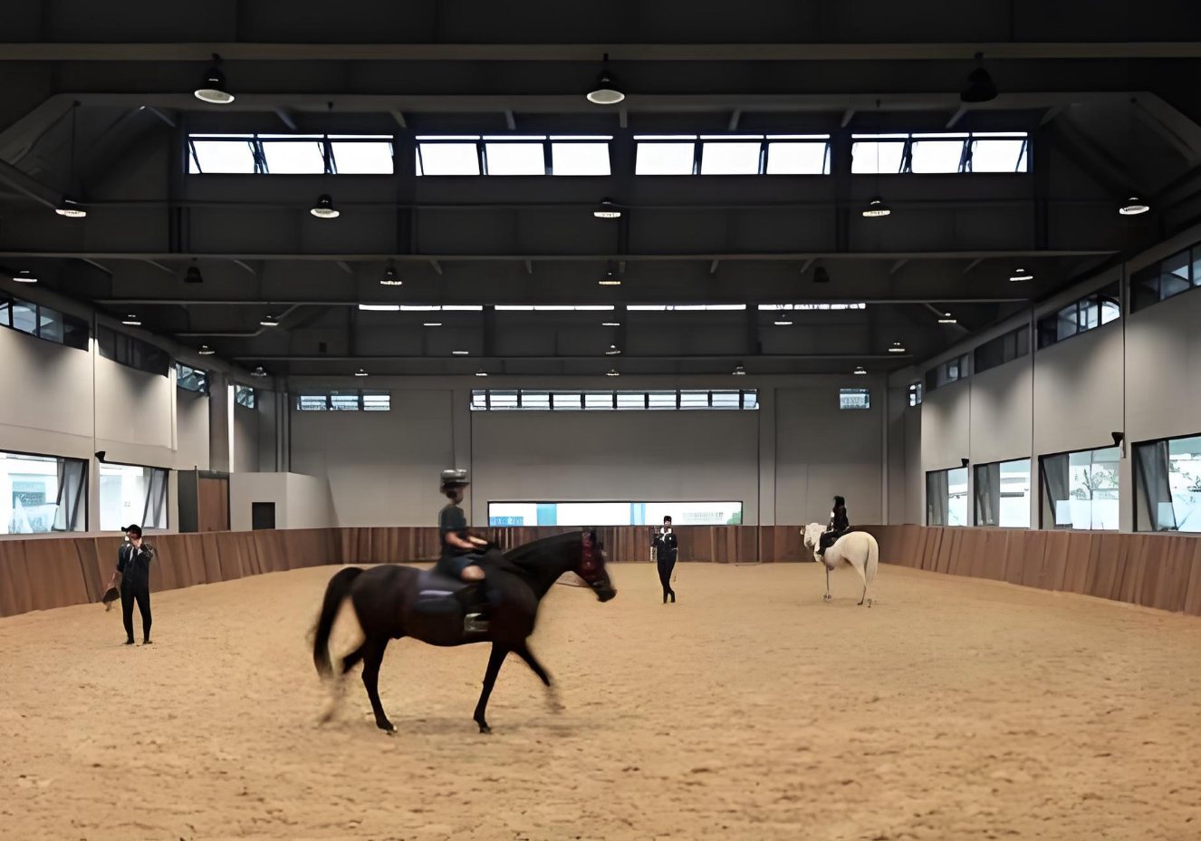 Prefabricated Steel Structure Indoor Horse Arena Stable Farmhouse Garage Shed Warehouse Designhorse Equestrian Shelter Workshop