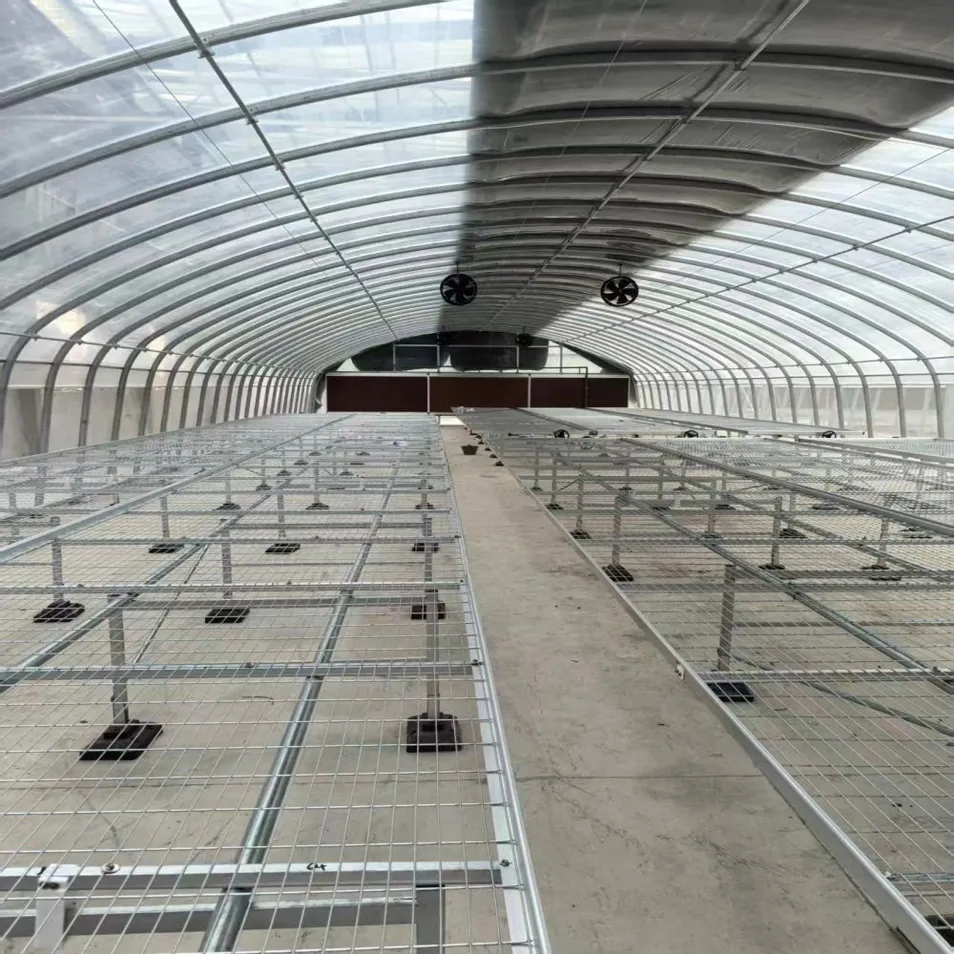Durable Prefabricated Steel Building for Integrated Cattle Breeding and Agricultural Storage Facility