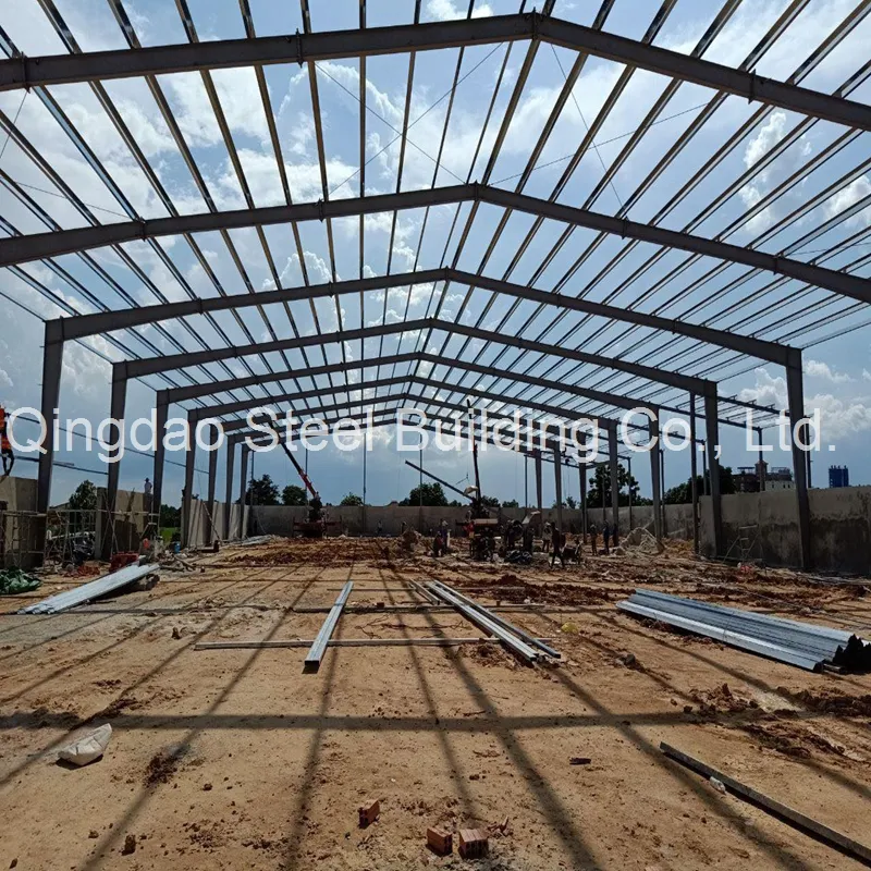 Steel Structure Design