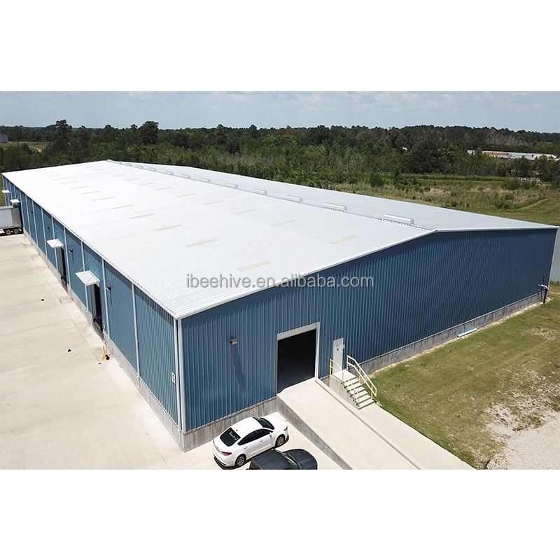 Prefab Warehouse/Workshop/Hangar/Poultry House/Hall Building China Cheap Customized Steel Structure Building