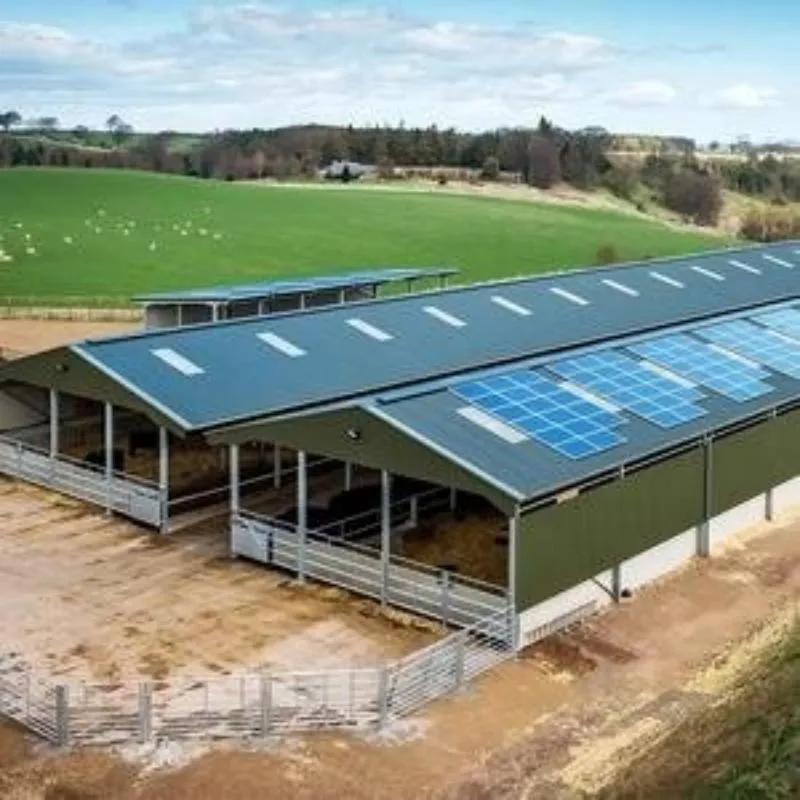 Durable Prefabricated Steel Building for Integrated Cattle Breeding and Agricultural Storage Facility