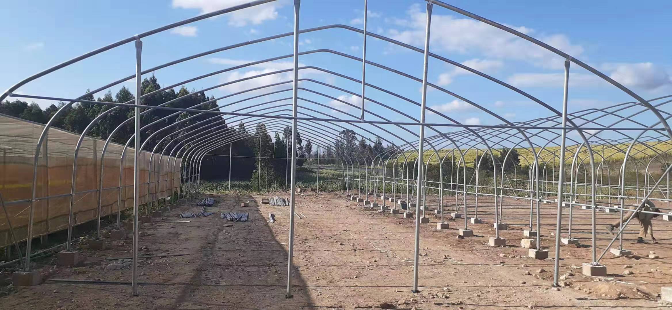 Project in South Africa