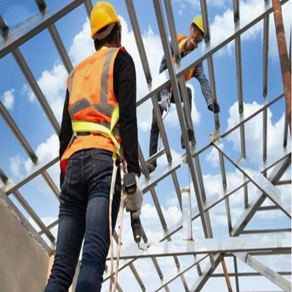 Wide Application Multi Scene Steel Structure Warehouse for Factory Farm and Commerce