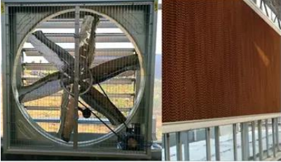 Cooling fan and pad system
