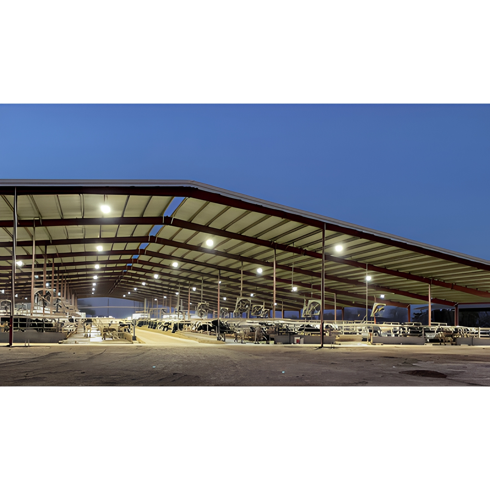 Multi-Functional Durable Steel Structure Farm - All-Purpose Agricultural Building for Livestock &amp; Poultry Breeding