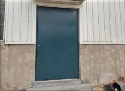 Swing Door