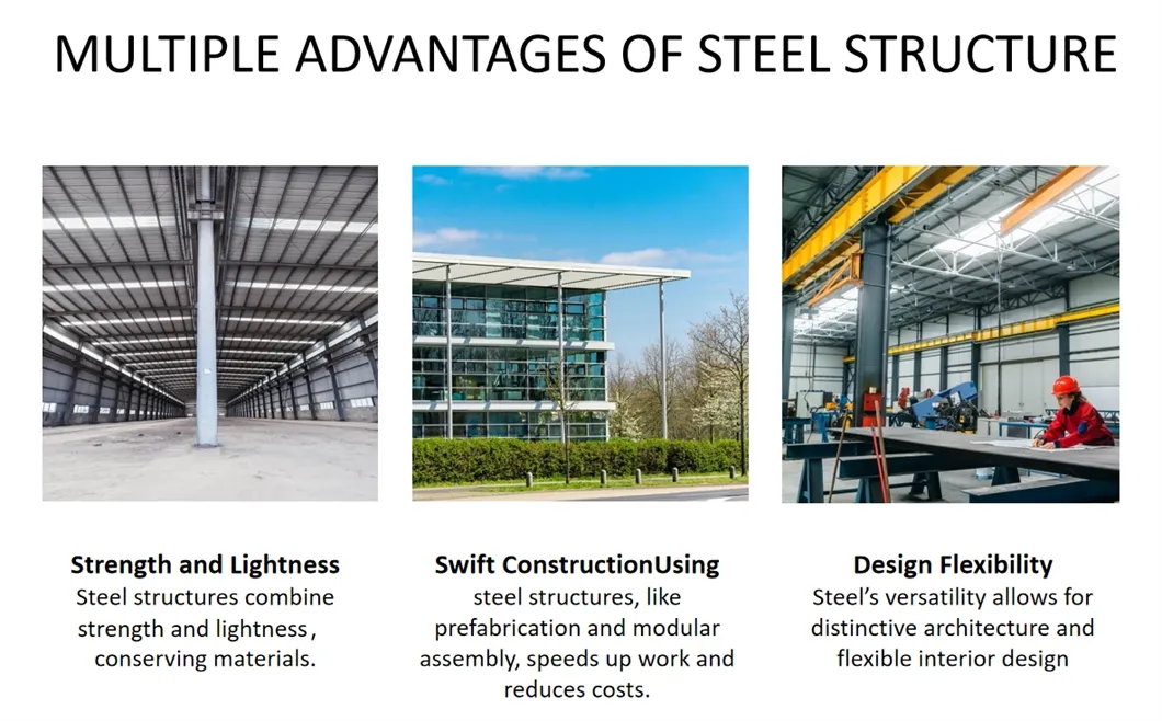 Cold Storage Facilities Warehouse Steel Structure Custom Construction Building