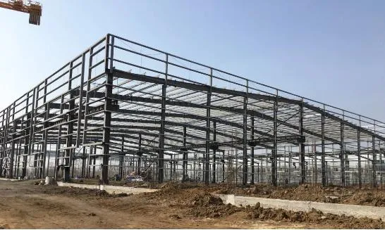 Professional Steel Structure Factory Building Construction Solutions