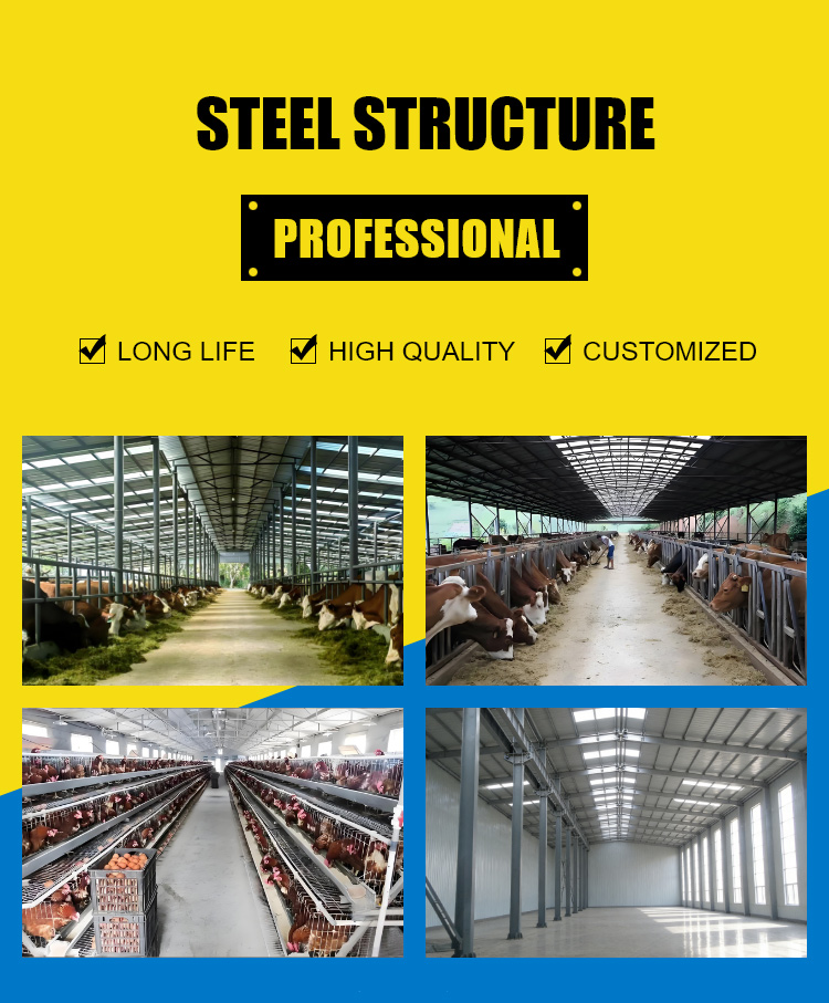 Steel Structure Design